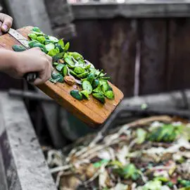 Conserve and compost food at hotels